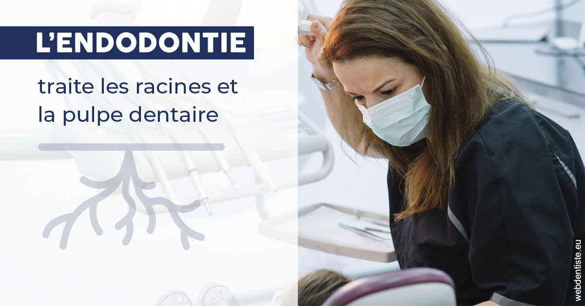 https://dr-tran-minh-thien.chirurgiens-dentistes.fr/L'endodontie 1