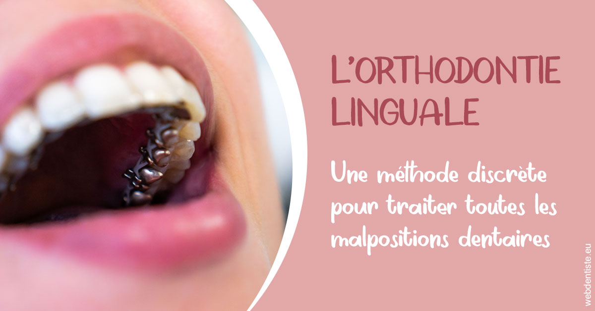 https://dr-tran-minh-thien.chirurgiens-dentistes.fr/L'orthodontie linguale 2