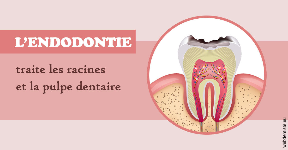 https://dr-tran-minh-thien.chirurgiens-dentistes.fr/L'endodontie 2