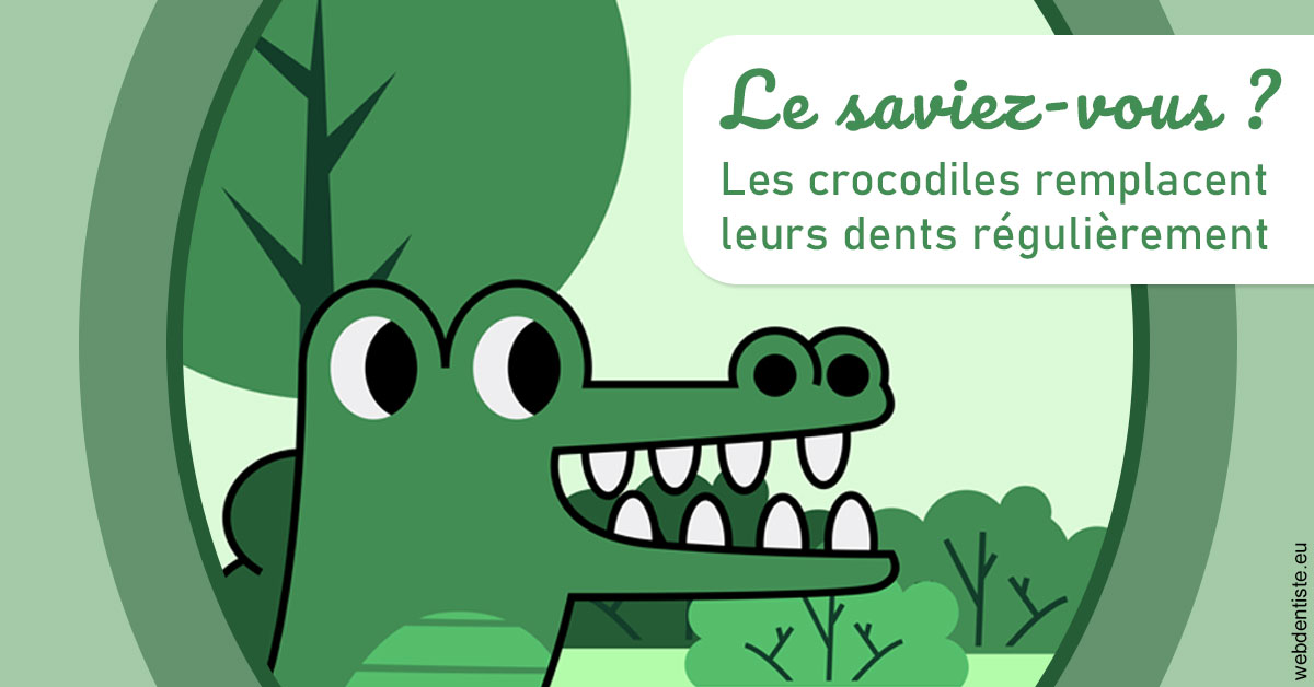 https://dr-tran-minh-thien.chirurgiens-dentistes.fr/Crocodiles 2