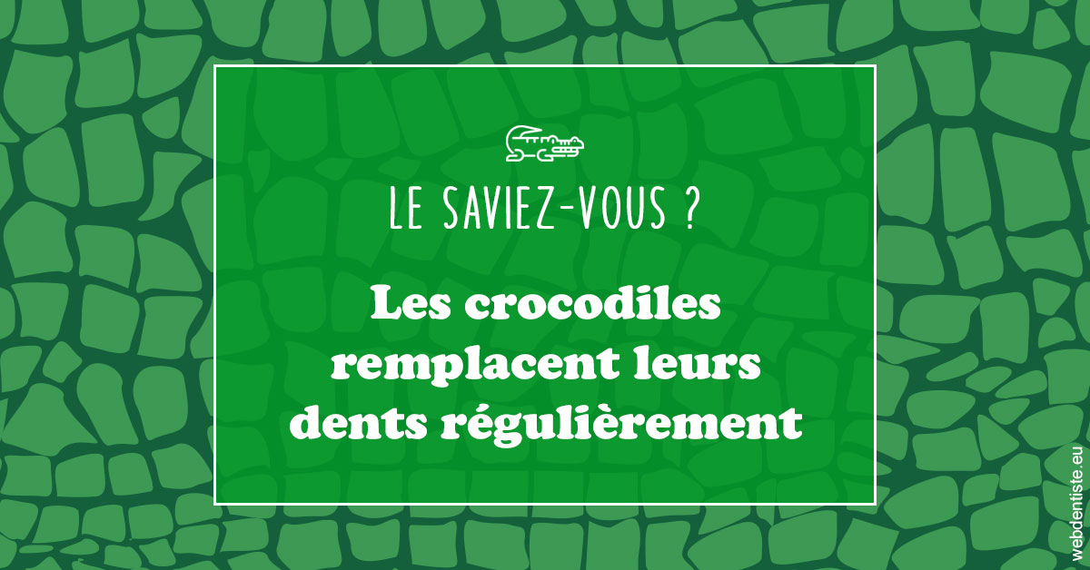 https://dr-tran-minh-thien.chirurgiens-dentistes.fr/Crocodiles 1